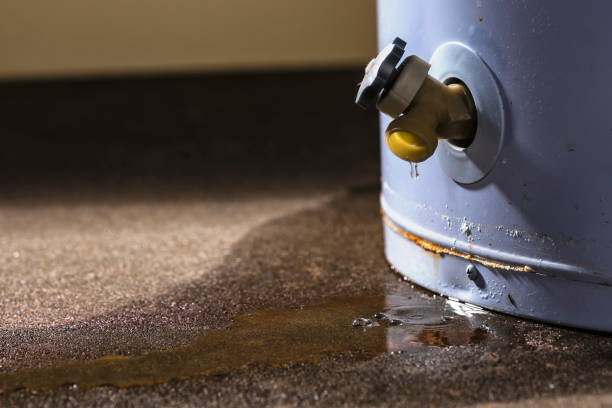Best Sewage cleanup and water damage restoration  in Hidalgo, TX