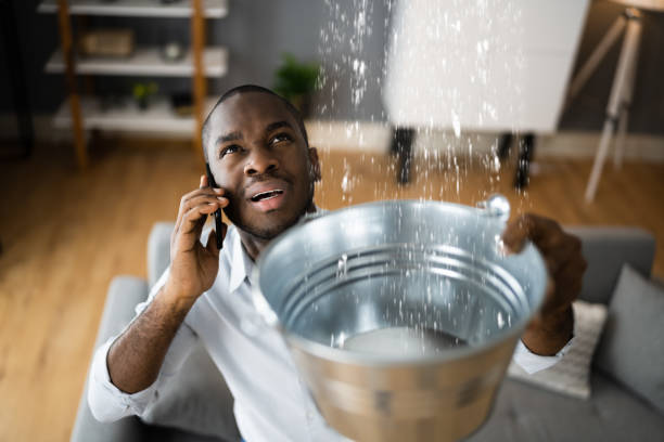 Best Water damage restoration near me  in Hidalgo, TX