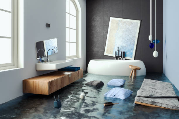 Best Water damage cleanup near me  in Hidalgo, TX