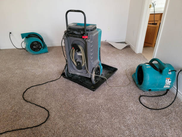 Best 24-hour water damage restoration  in Hidalgo, TX