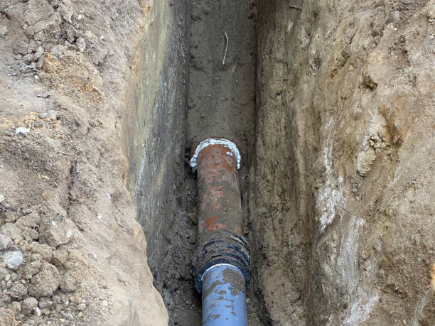 Best Flood restoration services  in Hidalgo, TX