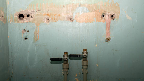 Reliable Hidalgo, TX Water damage restoration Solutions
