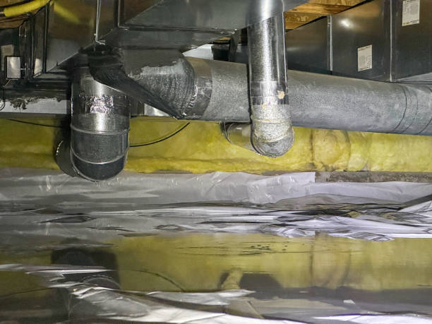 Best Water damage restoration near me  in Hidalgo, TX