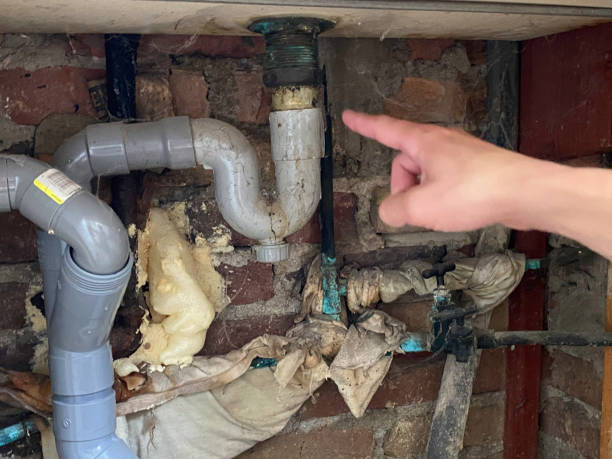 Best Residential water damage restoration  in Hidalgo, TX