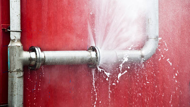 Best Water damage contractors near me  in Hidalgo, TX